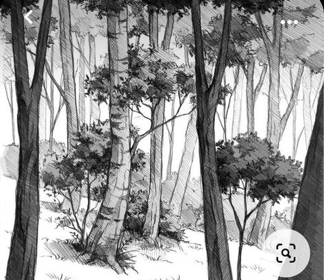 Pen Background, Background Environment, Drawing Landscapes, Forest Sketch, Environment Sketch, Landscape Pencil Drawings, Japanese Forest, Urban Design Graphics, Forest Drawing