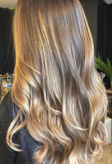 hair Brown Hair Foils, Half Head Foils Brunette, Half Head Foils, Golden Highlights Brown Hair, Highlights Brown Hair Balayage, Light Brown Hair With Highlights, Brown Hair With Caramel Highlights, Hair Foils, Light Brunette