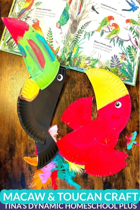 Wildlife in the Amazon Rainforest – Create Fun Macaw and Toucan Crafts Toucan Crafts Preschool, Toucan Paper Plate Craft, Rainforest Crafts Kindergarten, Amazon Rainforest Crafts For Kids, Amazon Rainforest Activities, Amazon Rainforest Crafts, Toucan Art For Kids, Rain Forest Crafts, Rainforest Animals Crafts