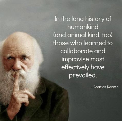 Legends Quotes, Charles Darwin Quotes, Legend Quotes, Survival Of The Fittest, Intelligence Quotes, Charles Darwin, Long History, People Quotes, Life Changing