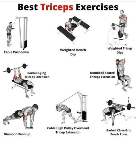 Seated Tricep Press, Tricep Cable Workout, Cable Pushdown, Muscle Workouts, Tricep Press, Triceps Extension, Triceps Exercises, Gym Routines, Overhead Tricep Extension