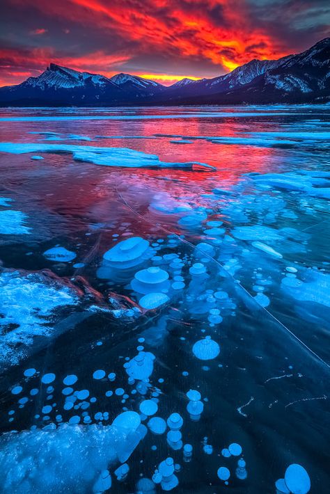 Duh duh duh..... Fire in the sky. by Chris Greenwood / 500px Foreground Background, Abraham Lake, Background Colours, Great Hobbies, Take Better Photos, Cool Landscapes, Fire And Ice, Alberta Canada, Landscape Photos