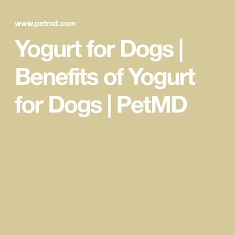 Yogurt for Dogs | Benefits of Yogurt for Dogs | PetMD Plain Yogurt Benefits, Greek Yogurt For Dogs, Yogurt For Dogs, Benefits Of Yogurt, Source Of Calcium, Dog Probiotics, Yogurt Benefits, Making Yogurt, Probiotic Benefits