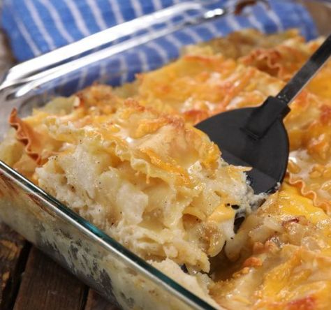 Perfect comfort food, my kids had seconds and thirds! Perogi Lasagna, Pierogi Lasagna, Lasagna Video, Potato Pierogi, Potato Lasagna, Cooktop Cove, Lasagna Casserole, European Dishes, Lasagna Ingredients