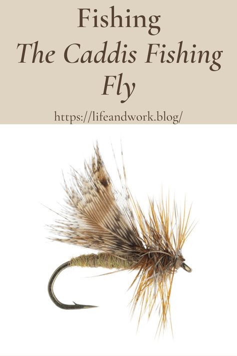 Crappie Fishing Tips, Aquatic Insects, Caddis Flies, Crappie Fishing, Angler Fish, Sewing Things, Freshwater Fishing, Trout Fishing, Life Happens