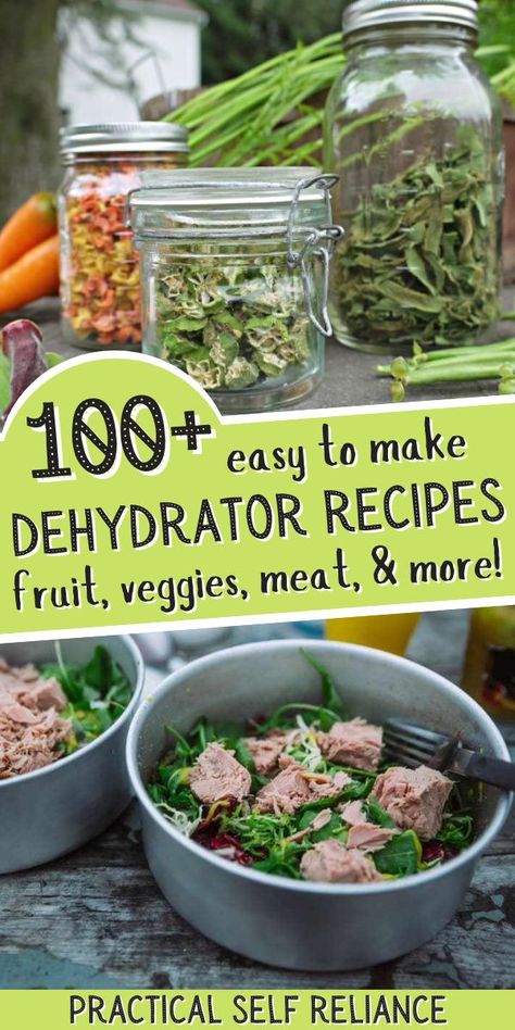 Drying Food Preservation, Good Dehydrator, What Foods Can You Dehydrate?, Things You Can Dehydrate, Recipes Using Dehydrated Foods, Food Dehydration Chart, Foods That Can Be Dehydrated, How To Use Dehydrated Food, What Can You Dehydrate