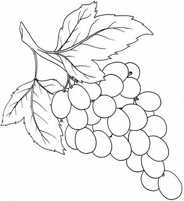 bunch of graoes template | Beccy's Place: Bunch of Grapes Grape Drawing, Vine Drawing, Grape Painting, Pyrography Patterns, Stencil Wood, Bunch Of Grapes, Patterns Printable, Leaf Drawing, Stencil Templates