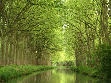 Canal du Midi, a 150-mile long waterway running from the city of Toulouse down to the Mediterranean. Roman Aqueduct, Canal Du Midi, Marseille France, Turquoise Water, South Of France, France Travel, Most Beautiful Places, Wonderful Places, Day Trip