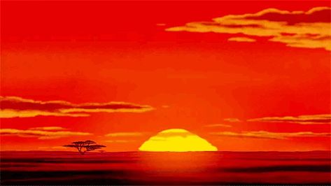 Lion King Sunrise, Sunrise Gif, Lion King Images, Lion King 1994, Safari Photography, The Lion King 1994, Roi Lion, New King, Movie Gifs