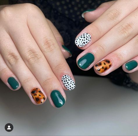 Summer Nails Designs 2023, Nails Colors Spring, 2023 Spring Nails, Best Summer Nails, Summer Nails Designs, Spring Nail Colors, Nails Colors, Animal Nails, Animal Print Nails