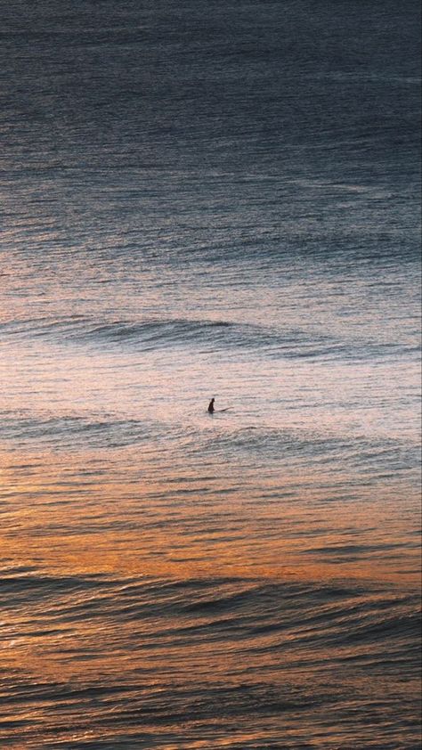 Surfing Pictures Aesthetic, Aesthetic Surfing Wallpaper, Surfer Wallpaper Iphone, Surf Wallpaper Aesthetic, Surfing Wallpaper Iphone, Surf Iphone Wallpaper, Surfing Aesthetic Wallpaper, Surfboard On Wall, Surf Asthetic Picture