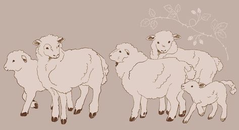 Sheep Drawing Reference, How To Draw A Sheep, Sheep Drawing Illustration, Sheep Doodles, Sheep Animation, Cute Sheep Drawing, Sheep Aesthetic, Sheep Quotes, Drawing Sheep