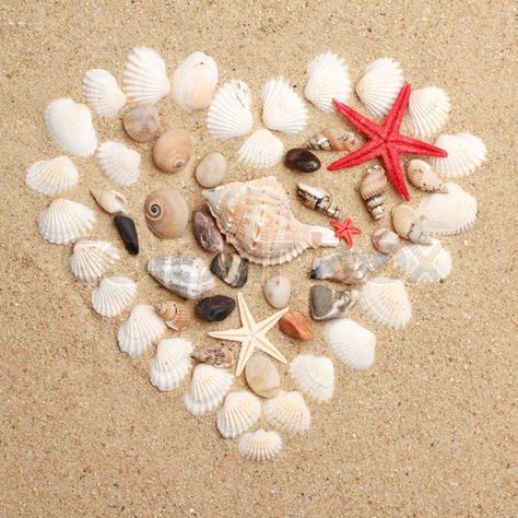 seashell heart / peace of the beach Seashell Heart, Beach Heart, Shell Heart, Marine Theme, Shell Collection, I Love Heart, Small Town Girl, Heart Wreath, Beach Crafts