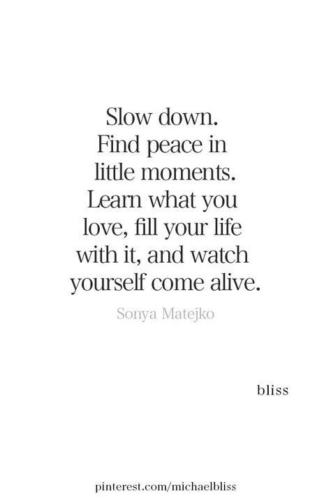 Time To Slow Down Quotes, Slow Down Quotes Life Wisdom, Live Slow Quotes, Slow Life Quotes, Slow Living Quotes, Michael Bliss, Bliss Quotes, Quotes Wisdom, Slow Life