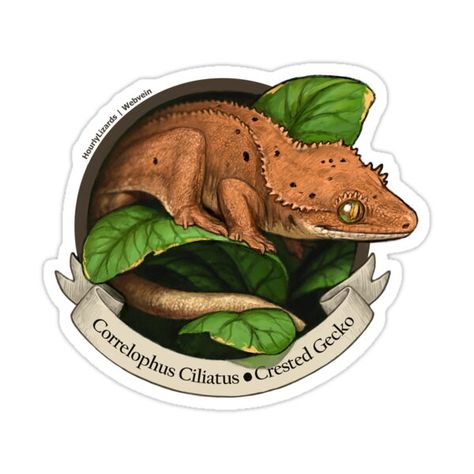 Decorate laptops, Hydro Flasks, cars and more with removable kiss-cut, vinyl decal stickers. Glossy, matte, and transparent options in various sizes. Super durable and water-resistant. Crested Gecko, designed by Webvein on Twitter! Crested Gecko Drawing, Crested Gecko, Classy Tattoos, Super Nails, Pottery Painting, Gecko, Sea Creatures, Print Shirt, Reptiles