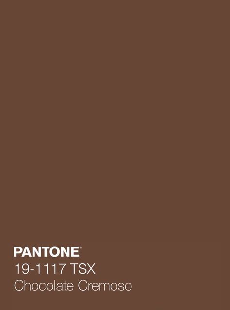 Chocolate Colour Wallpaper, Pantone Brown, Morning Story, Pantone Color Chart, Dark Chocolate Color, Biscuit Color, Coffee Wallpaper, Pantone Colors, Color Palette Pink