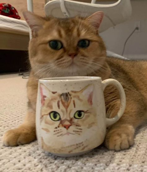 Pet Custom Mug Cat Mug Dog Mug Pet Mug, Made to Order Pet Portrait Mug, Coffee Cup Pet Gift, Hand Painted Ceramic Mug, Pet Painting - Etsy Painted Ceramic Mug, Edible Oil, Painted Mugs, Dog Mug, Hand Painted Ceramic, Cat Mug, Pet Gift, Mug Coffee, Dog Portraits