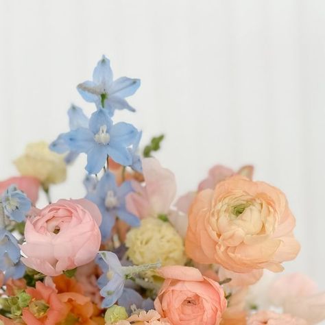 Yellow Orange Pink Wedding, Pastel Bouquet Wedding, Peach And Blue Wedding, Powder Blue Wedding, Dream Wedding Bouquet, Orange And Pink Wedding, Bridal Bouquet Blue, Pastel Bouquet, Floral Business