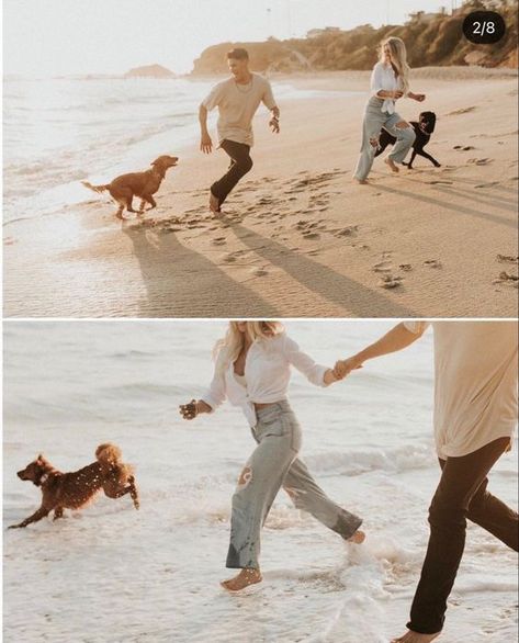 Photoshoot Ideas With Dogs, Couple Photoshoot With Dog, Beach Dog Photos, Sunset In California, Photoshoot With Dog, Dog Family Pictures, Family Dog Photos, Pre Wedding Praia, Beach Photoshoot Family