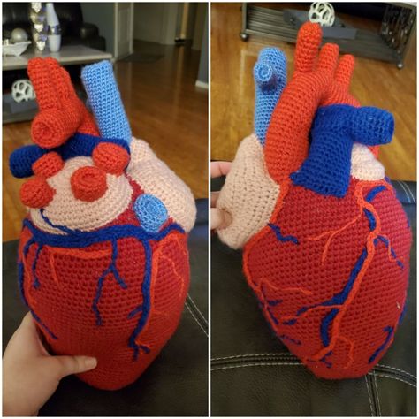 Crochet Anatomy Pattern Free, Human Heart Crochet Pattern Free, Crochet Organs Free Pattern, Anatomy Crochet, Anatomical Crochet Pattern, Human Heart, Crochet Food, Craft Booth, Fun Crochet Projects