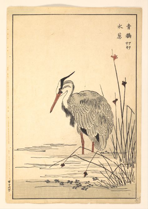 Unidentified Artist | Gray Heron (Aosagi) and Mizu-aoi Plant | Japan | The Metropolitan Museum of Art Heron Illustration, Gray Heron, Paper Relief, Relief Prints, Heron Art, Grey Heron, Shimane, Printing Blocks, Art Asiatique