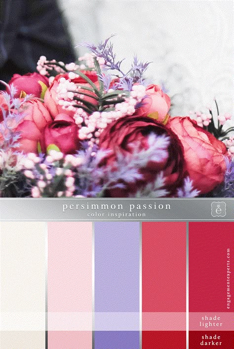 This is the perfect late fall/early winter wedding color palette. It's vibrant, exciting, and unexpected. The strong red hues bring all the passion. The pale pink along... #weddingcolors #weddingcolorideas #colorpalette Purple Pink Red Wedding, Red Blush Wedding Color Schemes, Lilac And Red Color Palette, Peacock Color Palette Wedding, Red Pink Purple Color Palette, Lavender And Red Color Palette, Red Purple Wedding Color Schemes, Red And Lilac Wedding, Lilac And Red Wedding