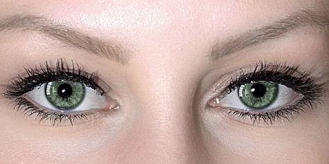 Free Image on Pixabay - Eyes, Pair Of Eyes, Green, Make Up Pair Of Eyes Reference, Eyes Reference Photo, Eyes Reference, Coloured Eyes, Make Up Sposa, Eyelashes Drawing, Eye Reference, Pair Of Eyes, How To Grow Eyelashes