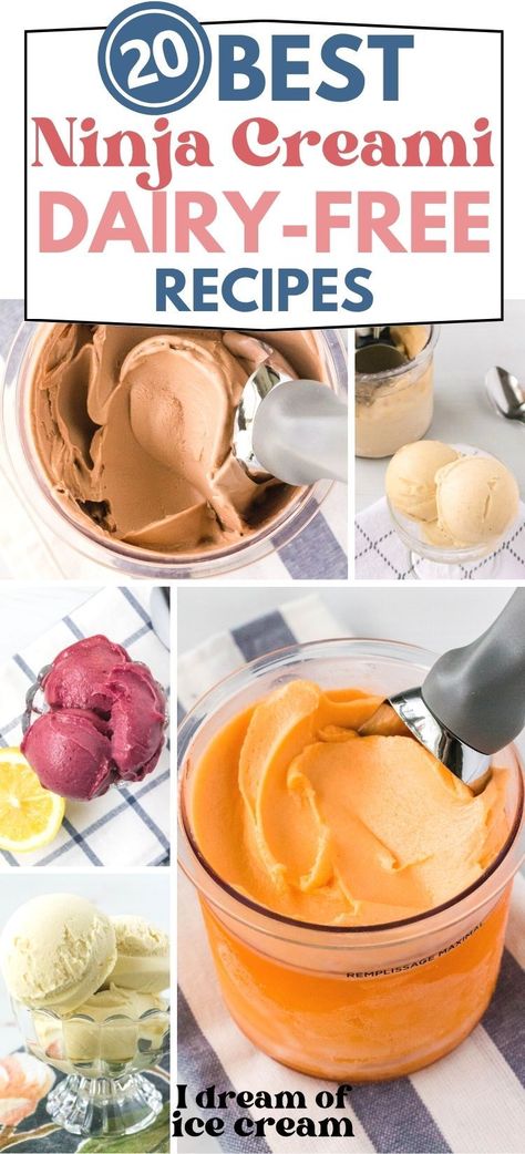 Strawberry Sorbet Recipe, Ninja Creami Recipes, Non Dairy Ice Cream, Ninja Ice Cream Recipe, Protein Ice Cream Recipe, Vegan Ice Cream Recipe, Healthy Ice Cream Recipes, Creami Recipes, Pudding Ice Cream