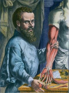 Andreas Vesalius ❤ #Scientist #Anatomy #Andreas #Vesalius Vesalius Anatomy, Human Cadaver, Andreas Vesalius, University Of Paris, Human Bones, Medical Practice, Anatomy Drawing, Medical Education, The Human Body