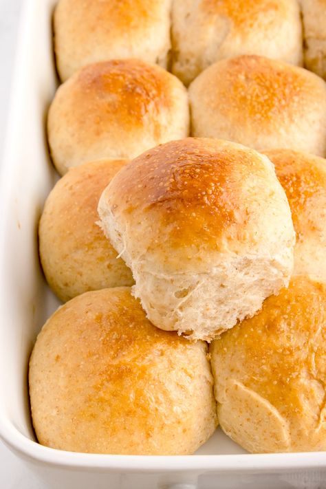 Soft Sourdough Dinner Rolls Recipe Sourdough Dinner, Sourdough Dinner Rolls, Recipe Using Sourdough Starter, Sourdough Rolls, Discard Recipe, Whole Wheat Sourdough, Sourdough Starter Discard Recipe, Skinnytaste Recipes, Dinner Rolls Recipe