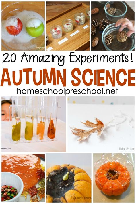 Pumpkins, apples, leaves, pine cones, and more! Come discover twenty engaging fall fun science experiments for preschoolers! #homeschoolprek #prekscience #funscienceexperiments #fallscience #autumnscience #preschoolscience #prekscience Fall Science Projects For Preschool, Fall Science Area Preschool, Fall Homeschool Kindergarten, Fun Fall Homeschool Ideas, Magic Potion Science Experiment, Fall Homeschool Ideas, October Homeschool Ideas, October Science Activities, Thanksgiving Science Experiments