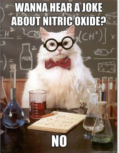 [Image - 155045] | Chemistry Cat | Know Your Meme Encouragement Meme, Science Cat, Happy New Year Funny, Chemistry Cat, Science Puns, Chemistry Humor, Chemistry Jokes, Science Nerd, Science Jokes