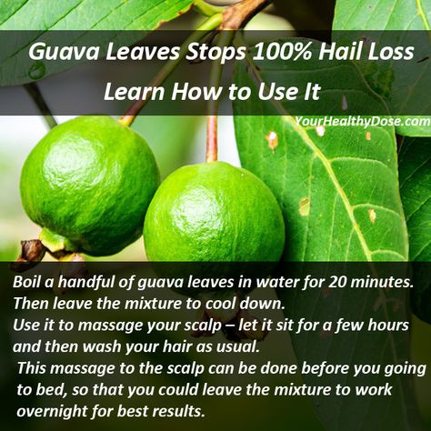 Learn How to Make This Guava Leaves Recipe. #guava #leaves #hair #loss #recipe Guava Leaves For Hair Growth, Guava Leaves For Hair, Guava Leaves, Hair Care Recipes, Hair Remedies For Growth, Homemade Hair Products, New Hair Growth, Hair Treatments, For Hair Growth