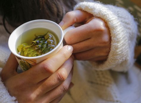 The #1 Drink that Reduces Visceral Fat, Says Dietitian — Eat This Not That Period Cramps, Visceral Fat, Gluten Sensitivity, Tea Benefits, Winter Drinks, Best Tea, Green Juice, Locker Room, Healthy Gut