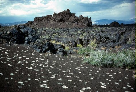 Devils Orchard blocks; Craters of the Moon Craters Of The Moon, Sea To Shining Sea, National Park Service, National Monuments, Hidden Gem, Walking In Nature, Natural Colors, Out Of This World, Historical Sites