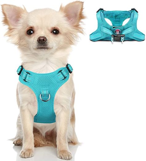 Amazon.com : Dog Harness Step in Dog Vest Harness , Reflective Adjustable Puppy No Pull Harness Breathable Soft for Small and Medium Dogs,Cats : Pet Supplies Pet Quotes Dog, Pet Quotes, Small Dog Harness, Puppy Harness, Dog Vest Harness, Cats Pet, Cat Harness, Dog Apparel, Dog Vest