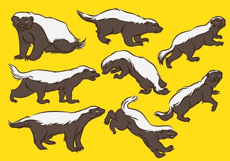 Honey Badger Cartoon Badger Cartoon, Honey Badger Tattoo, Badger Tattoo, Badger Logo, Badger Illustration, Badgers Logo, Monkey Illustration, Honey Badger, Animal Quilts