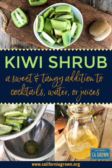 KIWI SHRUB . Wondering what exactly a "shrub" is? A shrub is a sweetened fruit syrup mixed with a tangy vinegar - think simple syrup with a sweet and sour spin. Try adding it to cocktails, sparkling water, or juice! . #CAGrown #kiwishrub  #cocktails #kiwi #mixology Kiwi Simple Syrup, Kiwi Syrup, Shrub Drink, Shrub Recipe, Simple Syrups, Fruit Syrup, Cocktail Ideas, Drink Mixes, Delicious Drink Recipes