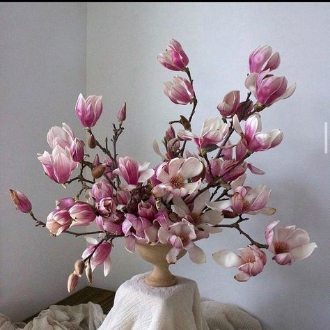 Flower Magazine on Instagram: “Sunday flowers by @avaflora #magnolia #flowerpower #flowers” Magnolia Floral Arrangements, Magnolia Flower Bouquet, Sunday Flowers, Flower Magazine, Ikebana Flower Arrangement, Magnolia Flower, Ikebana, Flower Decorations, Floral Art