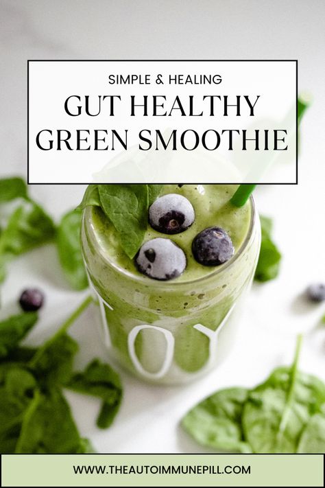 Gut healthy green smoothie recipe Liquid Diet Smoothie Recipes, Smoothies For Gut Cleanse, Green Smoothie With Ginger, Juicing Recipes For Healthy Gut, Wellness Smoothie Recipes, Best Vegetables For Gut Health, Gut Health Crockpot Recipes, Alkagizer Mild Recipe, Gut Detox Smoothie