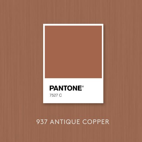 Antique Copper Metal Sheeting at That MetalCompany Copper Colored Paint, Copper Logo, Logo Wall, Disney Colors, Color Swatch, Copper Color, Pantone Color, Color Pallets, Antique Copper