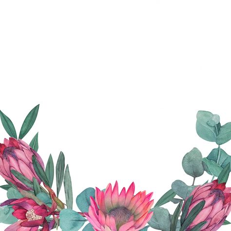 Premium Photo | Hand painted watercolor magenta protea flowers border Protea Background Wallpapers, Protea Border Frame, Protea Flowers, Flowers Border, Protea Flower, Bday Invitations, Flower Border, Note Paper, Premium Photo