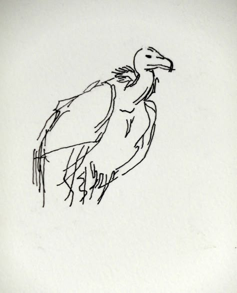 Vulture Drawing Sketches, How To Draw A Vulture, Vultures Drawings, One Line Animal Drawing, Vulture Tattoo Design, Vulture Sketch, Bird Drawing Simple, Vulture Drawing, Vulture Illustration