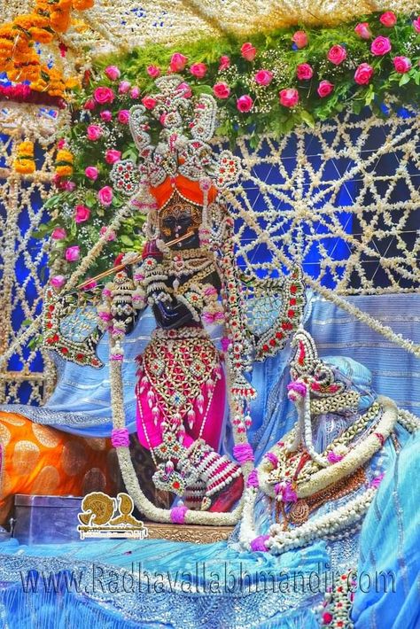 Radhavallabh Vrindavan Wallpaper, Radha Vallabh Ji Vrindavan, Radha Vallabh Ji, Radhavallabh Ji, Radhavallabh Lal, Mero Vrindavan, Krishna Pic, Vrindavan Photography Pictures, Gyan Mudra