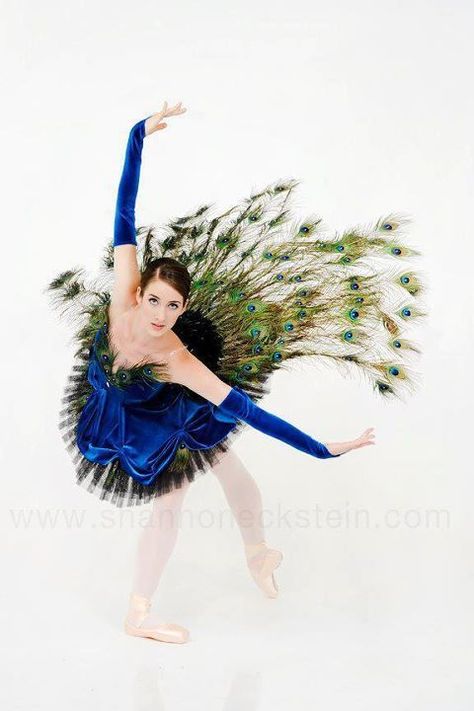 Only male peacocks have beautiful feathers , so perhaps a male dancer is more appropriate Peacock Tutu, Ballet Russe, Ballet Beauty, Afrique Art, Dance Like No One Is Watching, 파티 드레스, Ballet Photography, Ballet Beautiful, Ballet Tutu