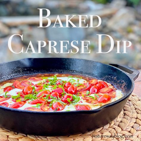 A Delectable Cheesy Oven Baked Caprese Dip – Nature Way Fresh Mozzarella Appetizers, Tomato Marinade, Caprese Dip, Baked Caprese, Mozzarella Appetizers, Caprese Appetizer, Savory Dips, Baked Dips, Caprese Recipes