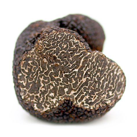 Easy Delicious Desserts, Truffle Mushroom, Poisonous Mushrooms, Truffle Salt, Earthy Fragrance, Edible Mushrooms, Best Butter, Truffle Oil, Black Truffle