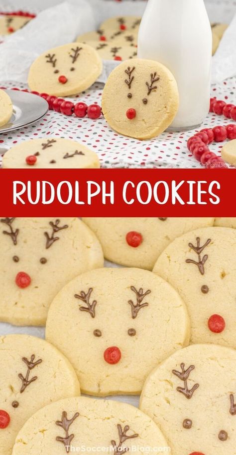 Rudolph Sugar Cookies, Reindeer Christmas Cookies, Reindeer Sugar Cookies, Homemade Sugar Cookie Dough, Rudolph Cookies, Christmas Cookies Kids, Christmas Bakes, Cookies Kids, Christmas Cookie Recipes Holiday