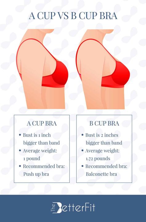 Bra Cup Size Comparison, D Bra Cup, B Cup Bra, Bra For Small Cup, 36dd Cup Outfits, Bra Size Chart Cups, 32b Cup Size, B Cup Size Examples, 32b Bra Size