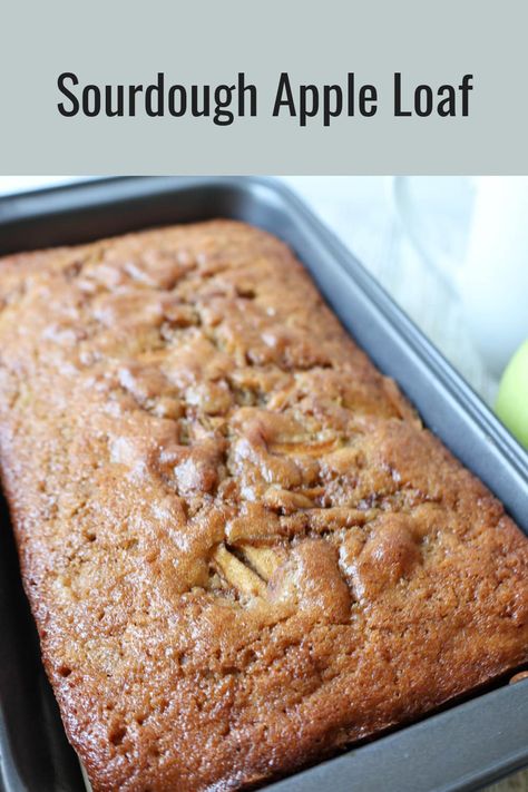 This sourdough apple loaf is an excellent addition to the breakfast menu. Made with goodness of  tart granny smith apple, cinnamon, nutmeg, and ginger with touch of sourdough  discard. Sourdough Apple Loaf, Sourdough Discard Apple Bread, Sourdough Apple Bread, Sourdough Apple Recipes, Sourdough Apple, Apple Loaf, South Indian Kitchen, Recipe Using Apples, Baked Apple Oatmeal